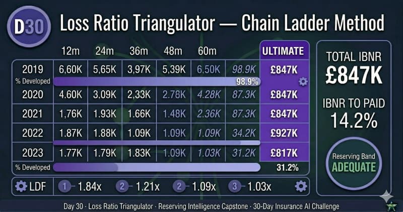 Loss Ratio Triangulator — Day 30 app